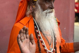 Desde Delhi: Jaipur La Ciudad Rosa Excursión privada de un día en coche.