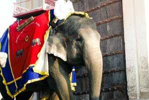Desde Delhi: Jaipur La Ciudad Rosa Excursión privada de un día en coche.
