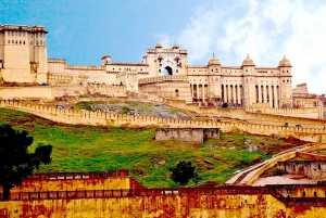 Fra Delhi: Jaipur-tur med Galta Ji-tempelet (apetempelet)