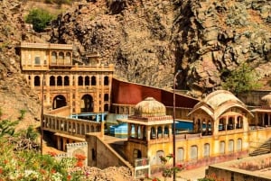 Fra Delhi: Jaipur-tur med Galta Ji-tempelet (apetempelet)