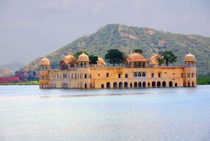 Fra Delhi: Jaipur-tur med Galta Ji-tempelet (apetempelet)