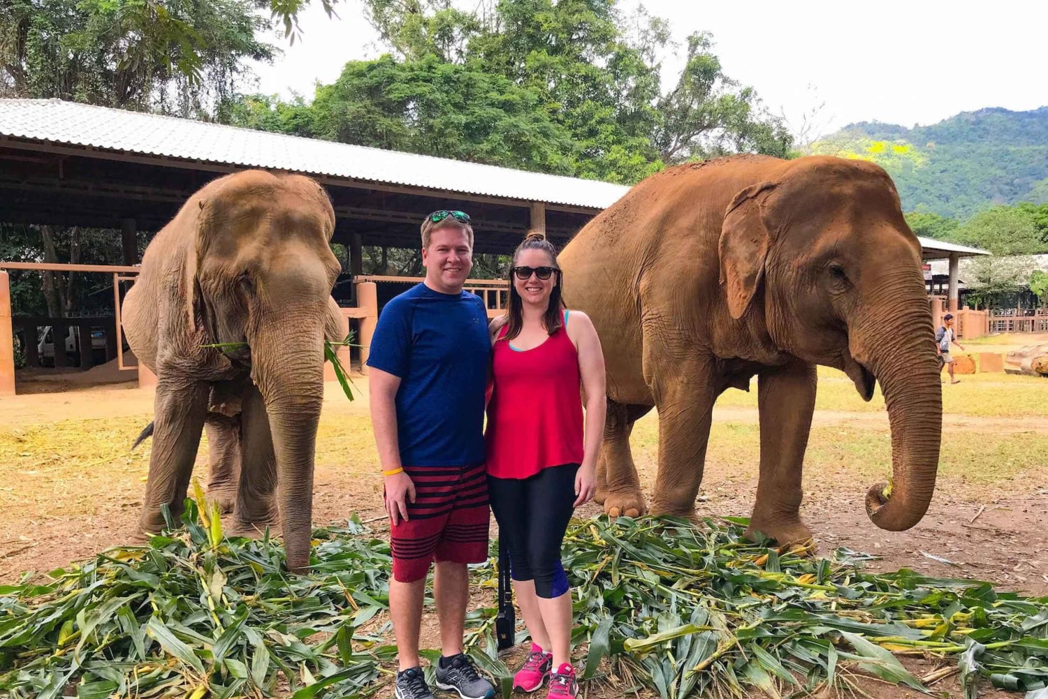 Da Delhi: tour di Jaipur con guida, trasporto ed elefanti