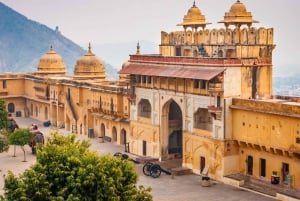 Da Delhi: tour di Jaipur con guida, trasporto ed elefanti