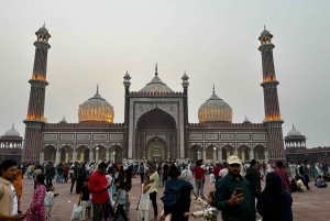 From Delhi Royal India in 5 Days India Golden Triangle Tour