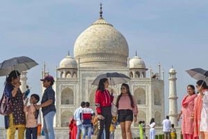 Da Delhi: Tour del Triangolo d'Oro di Agra e Jaipur 2 giorni