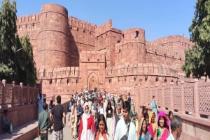 Ab Delhi: Private 3 Tage Goldenes Dreieck Tour all inclusive