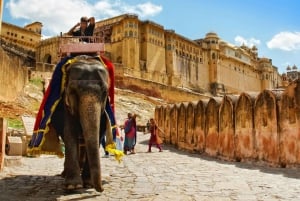 Из Дели: Частный 3-дневный тур по Золотому Треугольнику с отелями