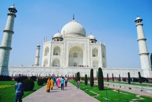 Fra Delhi: Privat 3-dagers tur til det gylne triangel