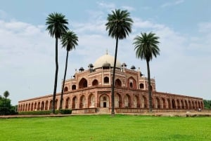 Da Delhi: Tour privato guidato di 5 giorni del Triangolo d'Oro