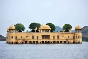 Delhistä: Yksityinen 6 päivän kiertomatka Agra, Jaipur, Udaipur & Delhi