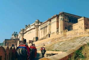 Из Дели: частный тур по Золотому Треугольнику на 3 дня на автомобиле с кондиционером