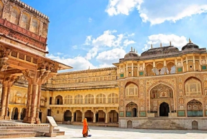 Из Дели: частный тур по «Золотому треугольнику» на 3 дня с гидом