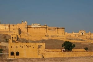 Von Delhi aus: Private Jaipur & Amber Fort geführte Tour mit dem Auto
