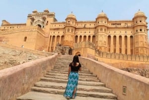 Da Delhi: Tour privato guidato di Jaipur e del Forte di Amber in auto