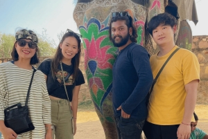 Desde Delhi : Excursión privada en tren de un día a Jaipur