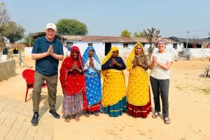 Desde Delhi : Excursión privada en tren de un día a Jaipur