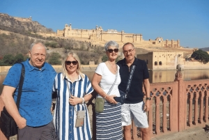 Desde Delhi : Excursión privada en tren de un día a Jaipur