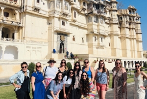 Desde Delhi : Excursión privada en tren de un día a Jaipur