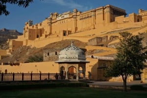 Depuis Delhi : Visite guidée de la ville de Jaipur en voiture le même jour