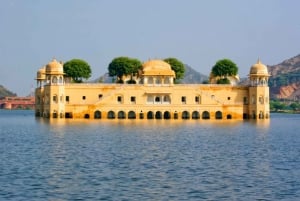 Da Delhi: Tour privato della città rosa di Jaipur in auto