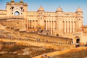 Da Delhi: Tour privato della città rosa di Jaipur in auto