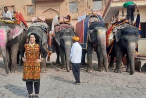 From Delhi: Same day Tour of Jaipur by Private AC Car