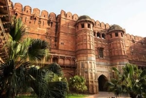 Vanuit Delhi: dagtrip naar de Taj Mahal en het graf van Akbar zonder wachtrij