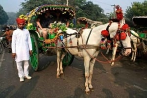 Desde Delhi: tour al Taj Mahal y al fuerte de Agra con un guía popular