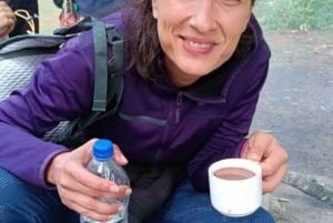 Desde Delhi: tour al Taj Mahal y al fuerte de Agra con un guía popular