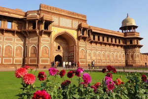 From Delhi/Agra: Taj Mahal, Agra Tour with Transfers & Lunch