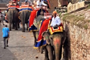 From Delhi : Visit Jaipur City, Same Day Return Tour By Car.