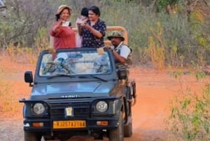 Au départ de Jaipur : 2 jours et 1 nuit de safari des tigres de Ranthambore