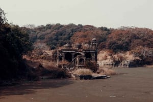 Da Jaipur : Tour di 2 giorni di safari delle tigri di Ranthambore in auto