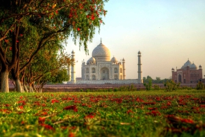Fra Jaipur: Dagstur til Agra med aflevering i New Delhi