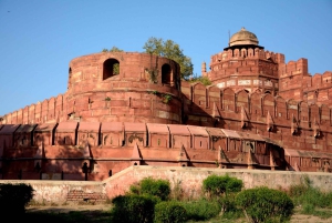 Fra Jaipur: Dagstur til Agra med aflevering i New Delhi