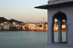 Fra Delhi: 5 dages Golden Tringle med Ajmer og Pushkar-tur
