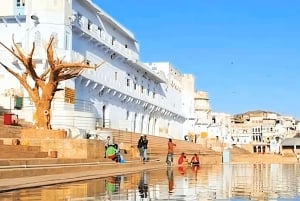 Fra Delhi: 5 dages Golden Tringle med Ajmer og Pushkar-tur