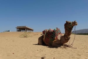 Fra Delhi: 5 dages Golden Tringle med Ajmer og Pushkar-tur