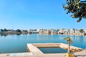 De Jaipur : Ajmer Pushkar Tour particular de táxi com guia de turismo