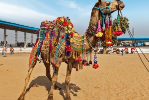 De Jaipur : Ajmer Pushkar Tour particular de táxi com guia de turismo