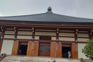 From Jaipur: Bodhgaya Temple and Monasteries Tour with Lunch