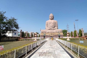 From Jaipur: Bodhgaya Temple and Monasteries Tour with Lunch
