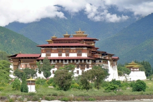 From Jaipur: Bodhgaya Temple and Monasteries Tour with Lunch