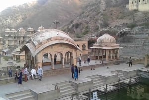 ジャイプル発：ガルタ寺院を訪れるプライベートジャイプル市内ツアーをご案内します