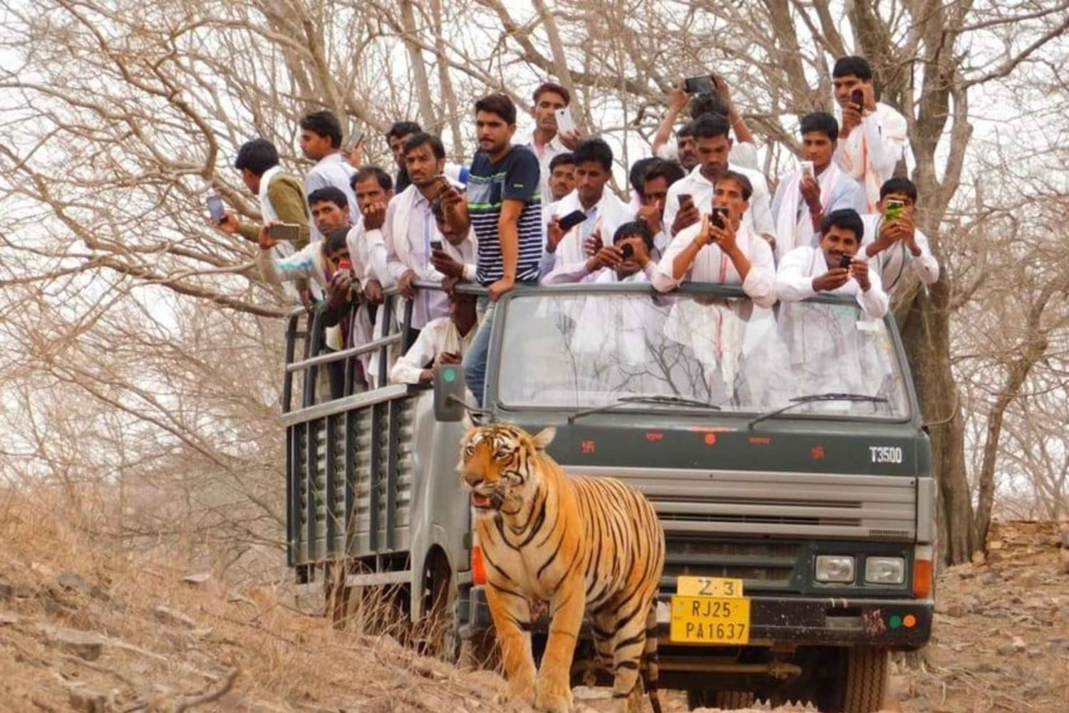 Vanuit Jaipur: Jhalana Leopard & Ranthambore Tiger Safari Tour