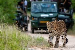 Из Дели: Экскурсия «Восход солнца над Тадж-Махалом» с посещением центра Elephant SOS