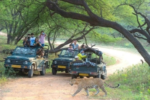 Из Дели: Экскурсия «Восход солнца над Тадж-Махалом» с посещением центра Elephant SOS