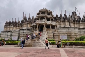 Da Jaipur: Tour panoramico locale di Jaipur in auto