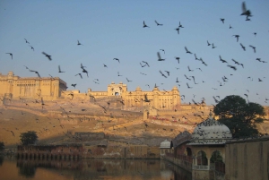 Jaipurista: Jaipur: Paikallinen Jaipur Sightseeing Tour Autolla