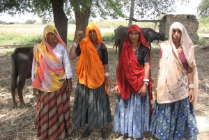 Explora a cidade de Mandawa, uma galeria de arte aberta, numa excursão de um dia